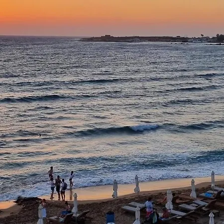 Buenaventura Cosy Kato