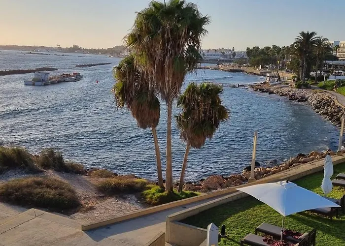 Buenaventura Cosy Kato *