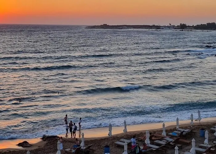 Buenaventura Cosy Kato