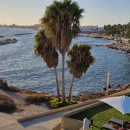 Buenaventura Cosy Kato *