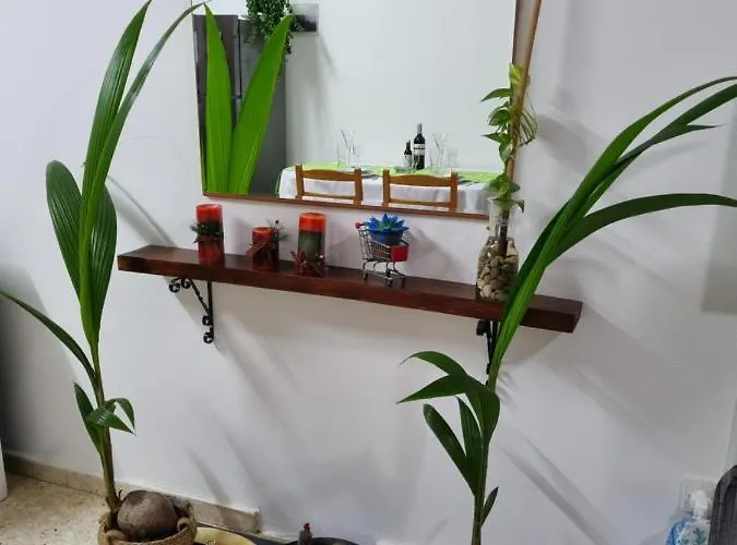 Buenaventura Cosy Kato 아파트 파포스